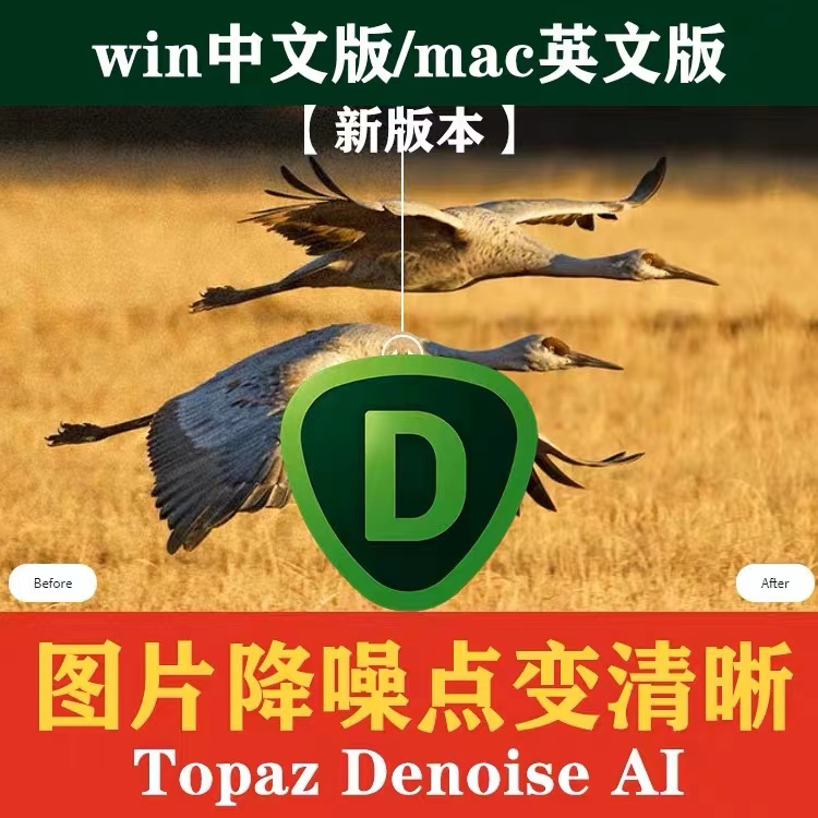 目前最厉害图片降噪神器（Topaz DeNoise AI）【943期】
