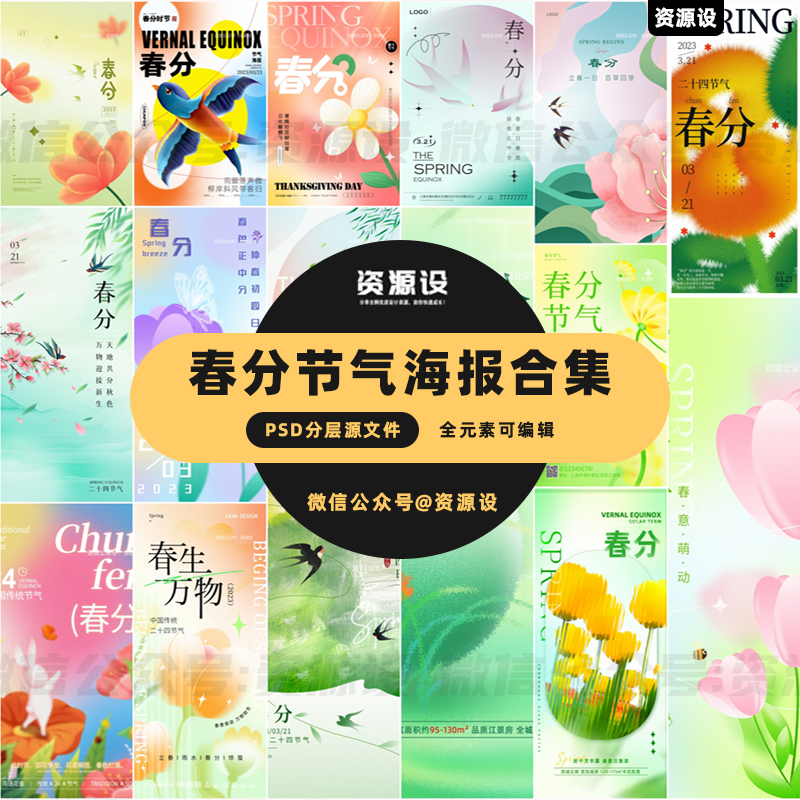 113款春分节气海报模板合集【1369期】