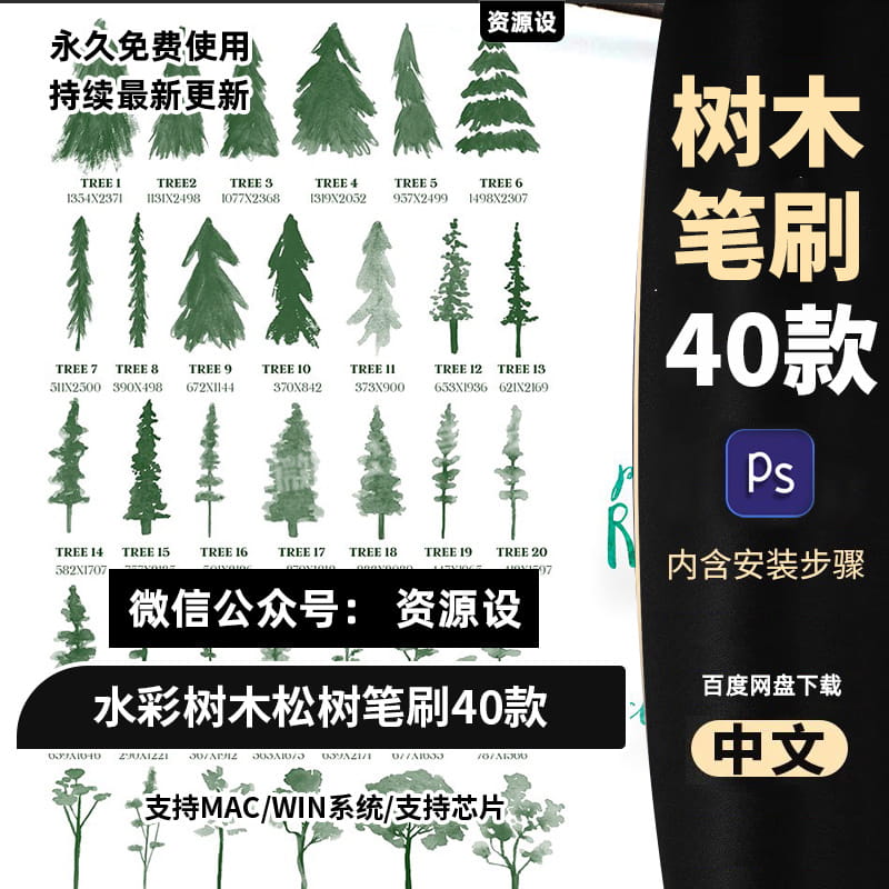 水彩立面树木松树PS笔刷剪影元素装饰插画图片设计ABR笔触素材【2405期】