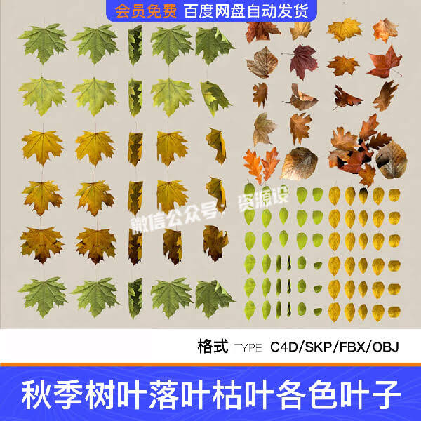 100+秋季树叶落叶枯各色叶子树木枫叶阔叶针叶SU模型C4D素材FBX【3539期】
