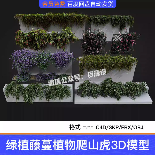 绿植藤蔓植物爬山虎蔷薇爬藤常青花藤藤本绿植SU模型C4D素材【3578期】