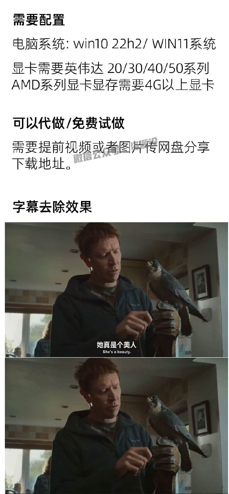 10_01.jpg
