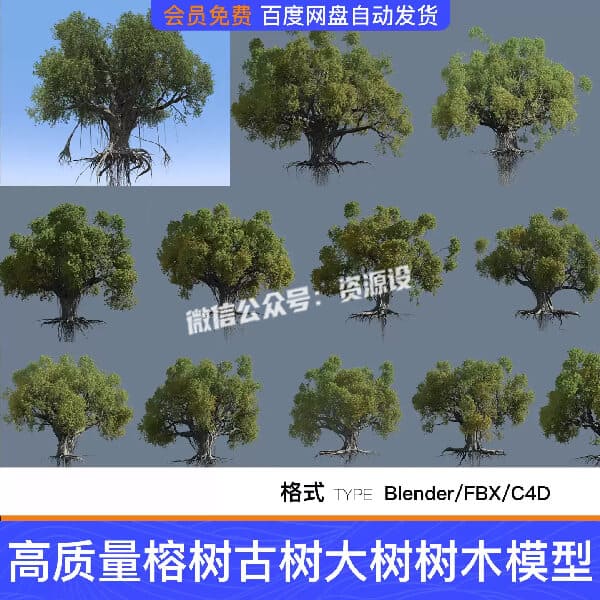 Blender12款写实高质量榕树C4D古树大树树木三维模型FBX素材【3745期】
